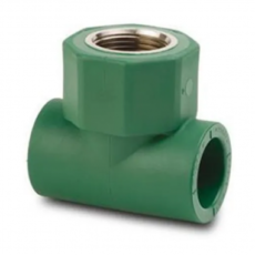 TF-TE c/ ROSCA CENTRAL HEMBRA TERMOFUSION