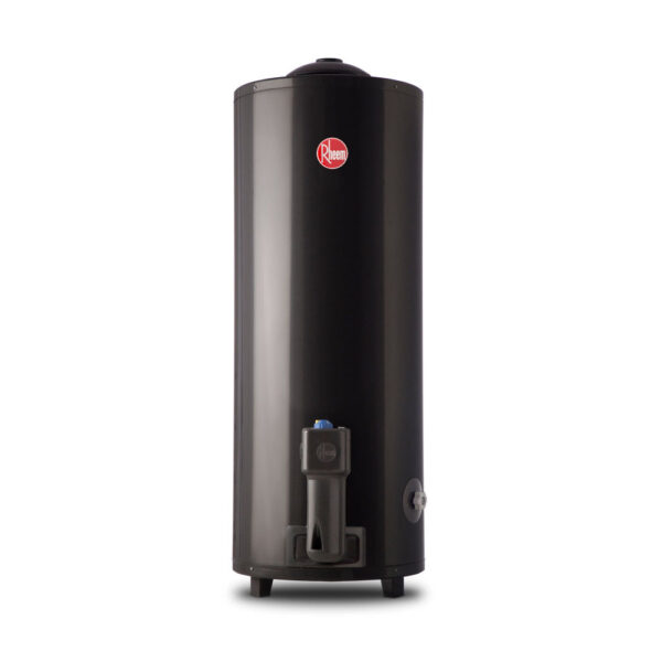 TERMOTANQUE RHEEM GAS NATURAL COLGAR - Imagen 4